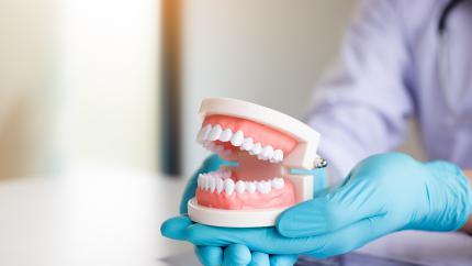 Dentiera finta